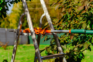 gardening secateurs for cutting branches on white background