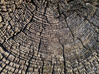 old wood texture