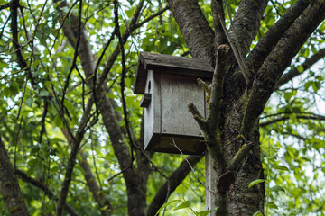 An old wooden birdhouse in a tree garden. There are branches and green foliage in the background.