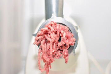 minced meat production process in an electric meat grinder