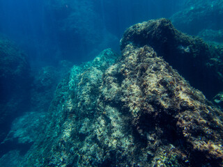 fondale marino isola bella Taormina 10