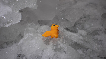 Yellow dragon toy among ice floes