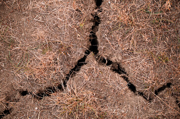The earth is cracking because of drought. The weather is too warm, bad for the agriculture.