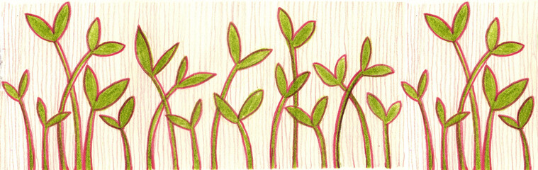 floral pattern hand drawn colored pencils