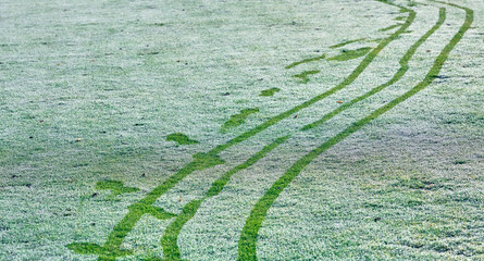 Footprints and tracks of a cart on a golf course in winter with fog and frost. A golfer with a cart leaves his tracks by stepping on the frost covered grass.