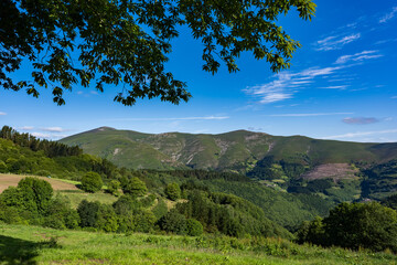 Obraz premium カミーノ サンティアゴへの道