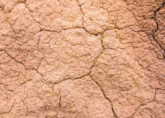 Closeup of dry land. Cracked ground surface