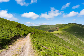カミーノ　サンティアゴへの道