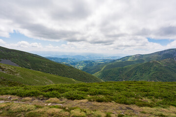 カミーノ 巡礼　サンティアゴへの道