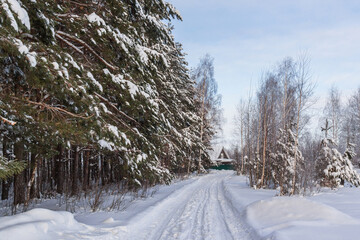 Winter road along the edge of the forest to residential buildings
