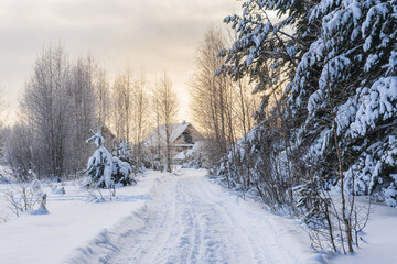 Road to the village along the forest in winter