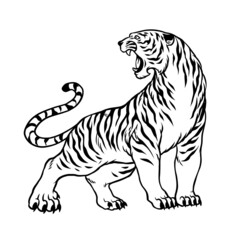 Fototapeta na wymiar Hand Drawn of Tiger In vintage Black and White