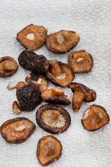 dried mushroom snack or mushroom crisps