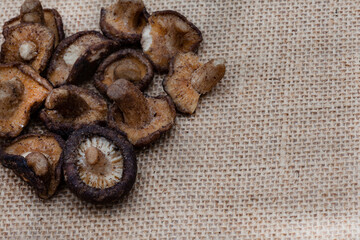 dried mushroom snack or mushroom crisps