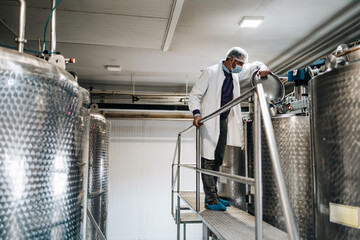 Manual worker in cheese and milk dairy production factory. Traditional European handmade healthy food manufacturing.