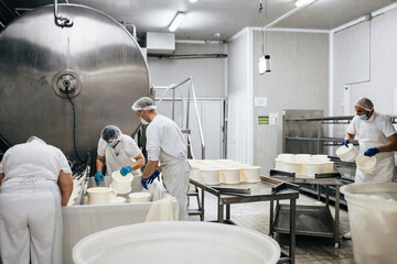 Manual workers in cheese and milk dairy production factory. Traditional European handmade healthy food manufacturing.
