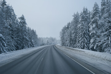 Highway in a picturesque winter forest