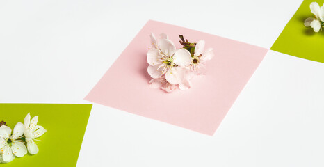 View from above spring flowers and gift box with copy space on white. Background for womens day, 8 March Valentines day, 14 february. Flat lay style, top view, mockup, template. Greeting card