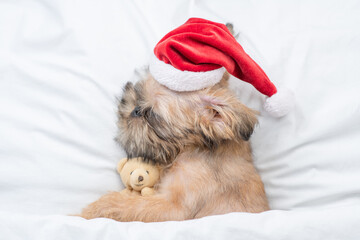 Brussels Griffon puppy wearing  red santa hat sleeps with toy bear on a bed under white blanket at home. Top down view