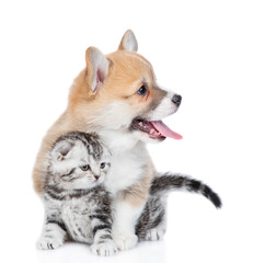 Friendly Pembroke welsh corgi puppy embraces tiny kitten. isolated on white background