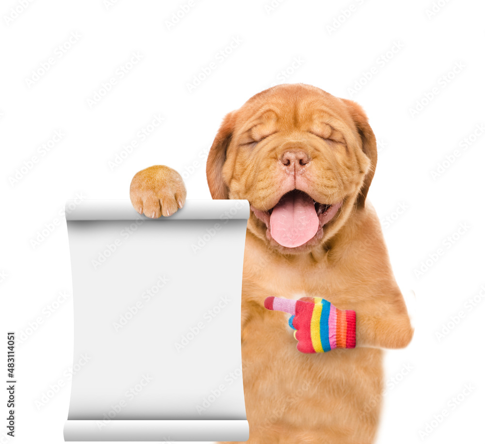 Poster Yawning Mastiff puppy points on empty list. isolated on white background
