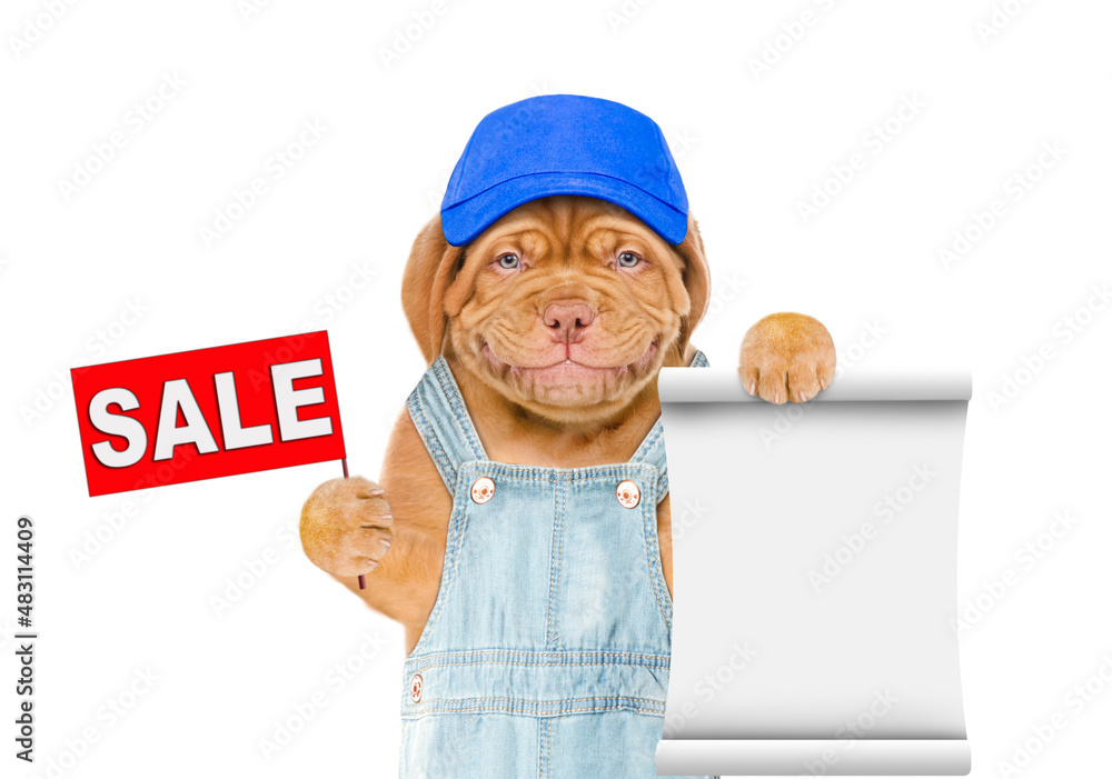 Poster puppy wearing blue cap and overalls shows empty list and sales symbol. isolated on white background
