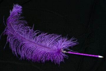 Single feather