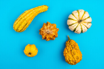 Decorative pumpkins on blue background. Concept reduce organic food waste. Ugly vegetables are edible.