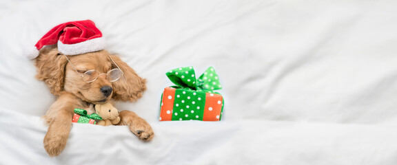 Cute English Cocker spaniel puppy wearing red santa hat hugs toy bear and sleeps with gift box...