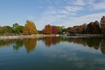 千葉県松戸市にある絵画のような風景