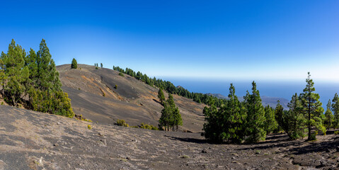 El Hierro - malerische Vulkanlandschaft mit kanarischen Kiefern nahe dem höchsten Berg Pico de...