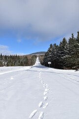 Fototapeta na wymiar A country road in winter, Québec, Canada