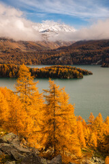 The beautiful golden Engadine during the autumn season, Engadine, Grisons, Swiss Alps, Switzerland.
