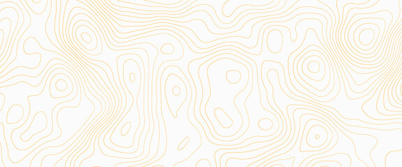 Salmon fillet texture, fish pattern. Vector background with stripes salmon, Vector illustration of topographic line contour map, black-white design, Luxury black abstract line art.