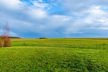 green field and sky