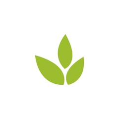 Green leaf illustration