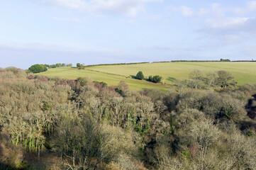 Fototapeta na wymiar Exmoor countryside and coast near Porlock Weir, Somerset