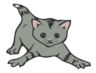 Vector illustration of isolated playful kitten. Hand drawn kitten.