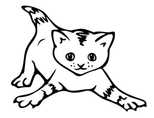 Vector illustration of playful kitten. Black and white isolated kitten.