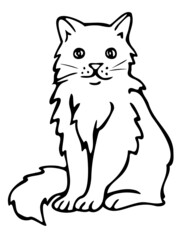 Vector illustration of black and white cat. Isolated hand drawn cat.
