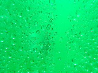 semi-abstract close up of water droplets on a bright green background