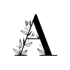 Floral botanical alphabet. Vintage hand drawn letter A. Letter with plants and flowers. Vector lettering isolated on white