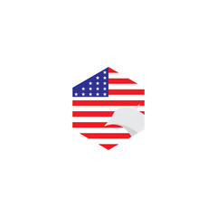 American Eagle Flag Logo Design Vector Icon Template Inspiration.