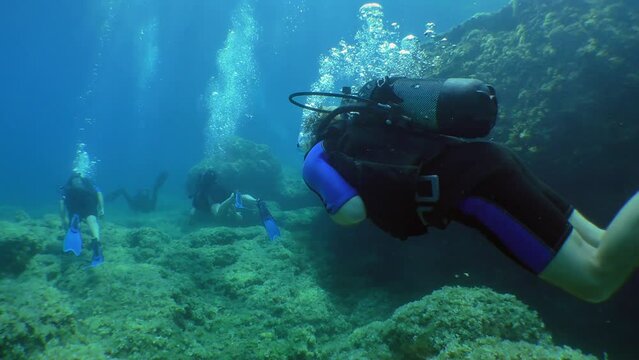 Diving training: group of divers follow the instructor over stones overgrown with algae.