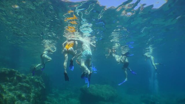 Snorkeling: a group of tourists in underwater masks on the surface of the water, bottom view.
