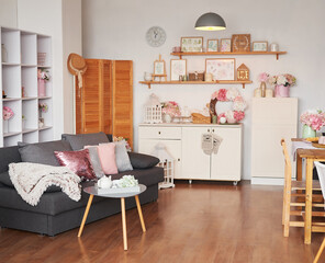 Pink living room. Studio apartment. Loft interior. Shelves and decor in room. Rent and delivery of housing. Hostel and hotel