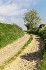 Fototapeta na wymiar road in the countryside Cotswolds