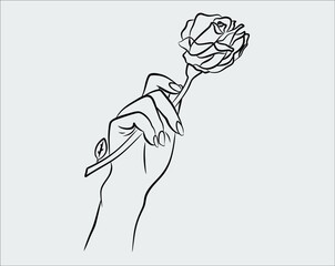 woman's hand holding rose flower.beautiful blackwork tattoo design.High-detailed artwork isolated.
