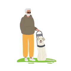 Elderly man wearing dark glasses standing. Guide dog helps elderly man. Service Dog. Seeing Eye dog. Thoroughbred animal. Animal is sitting. Light-colored short-haired dog. Flat vector illustration