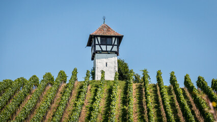 Fototapeta na wymiar Tower at the vineyard in sunshine